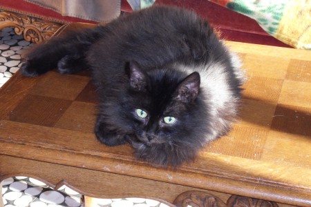 Melba