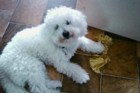 Casper