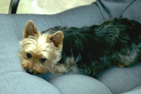 Sweety