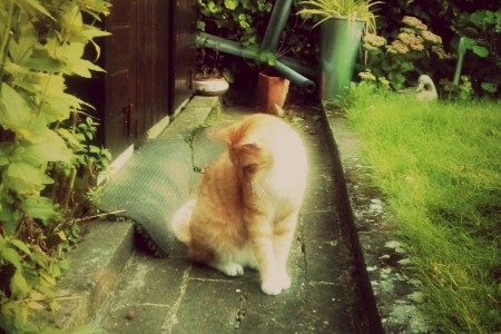 Spiroux &hearts;