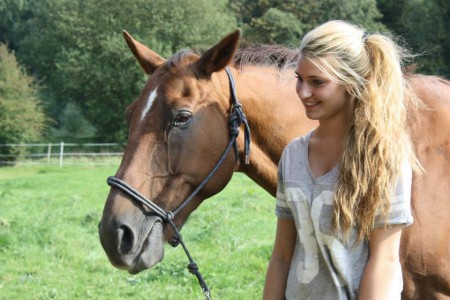 Norfou des Mustangs