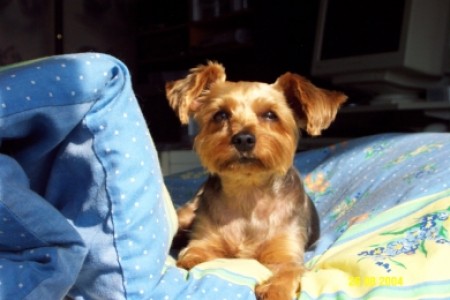 Nicky