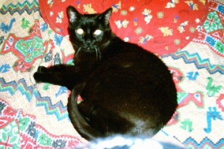 Loulou