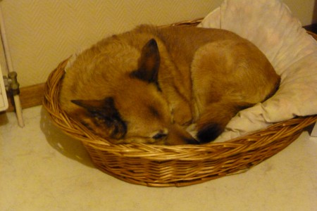 Cyb&egrave;le